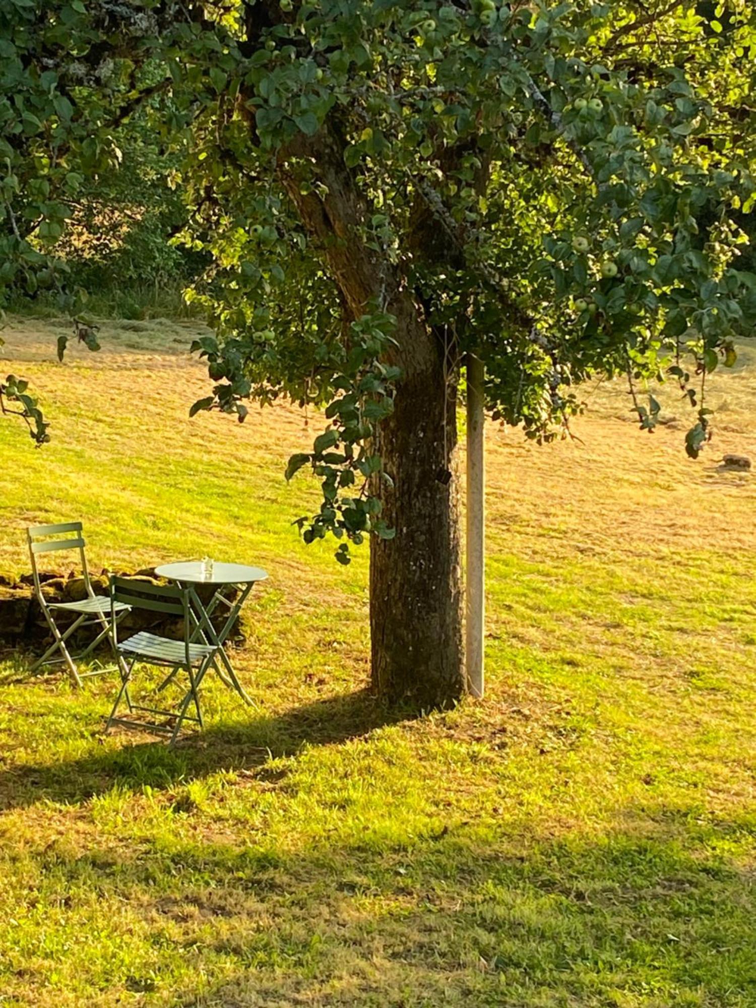 Une Pause En Correze Sarroux Buitenkant foto
